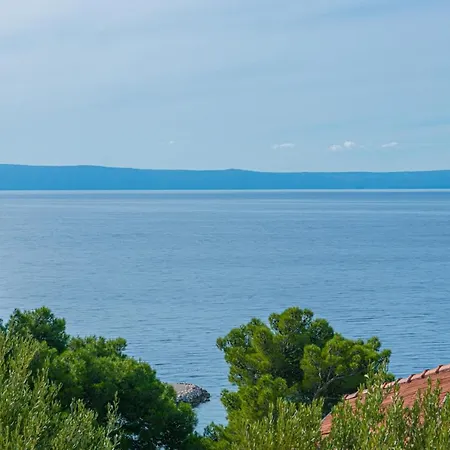 Family Friendly With A Swimming Pool Brela, Makarska - 20065 Apartment